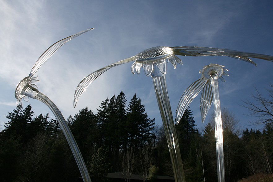 Splash Image